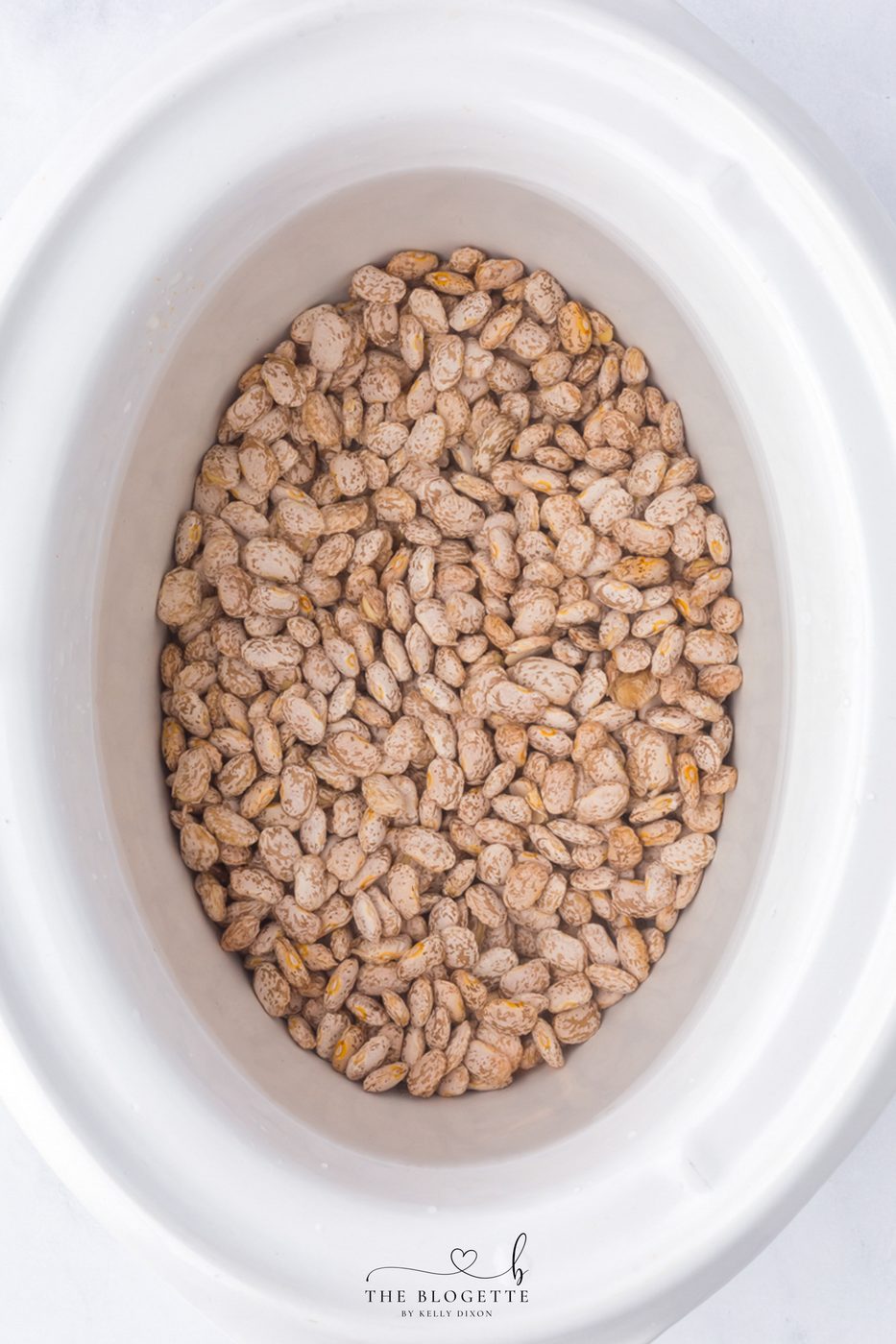 Place beans in slow-cooker