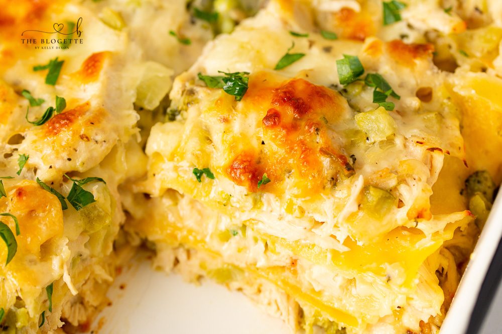 A favorite Chicken and Broccoli Lasagna! Tender chicken is layered with broccoli, lasagna noodles, and a rich and creamy cheese sauce!