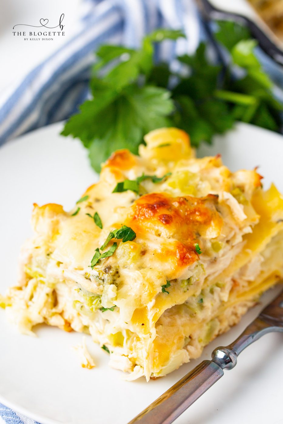 A favorite Chicken and Broccoli Lasagna! Tender chicken is layered with broccoli, lasagna noodles, and a rich and creamy cheese sauce!