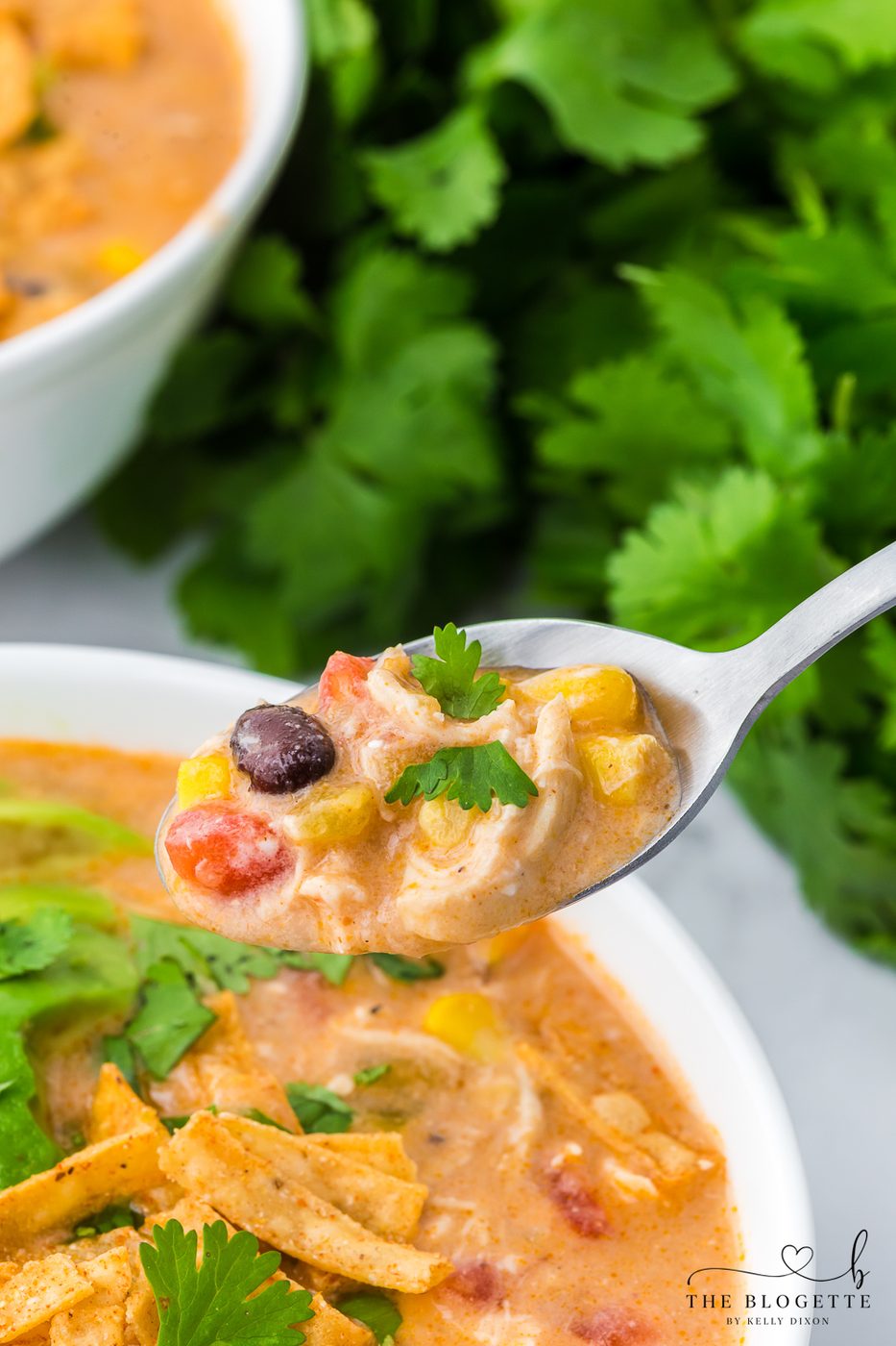 Chicken Enchilada Soup