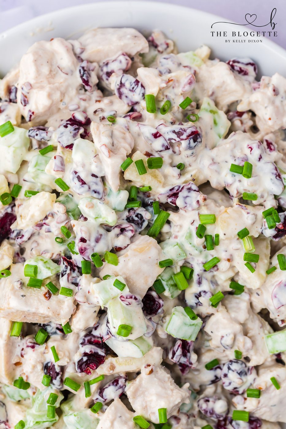Cranberry Pecan Chicken Salad is creamy, crisp, and filling. Juicy chicken cranberry, pecan, and apple with a creamy dressing.
