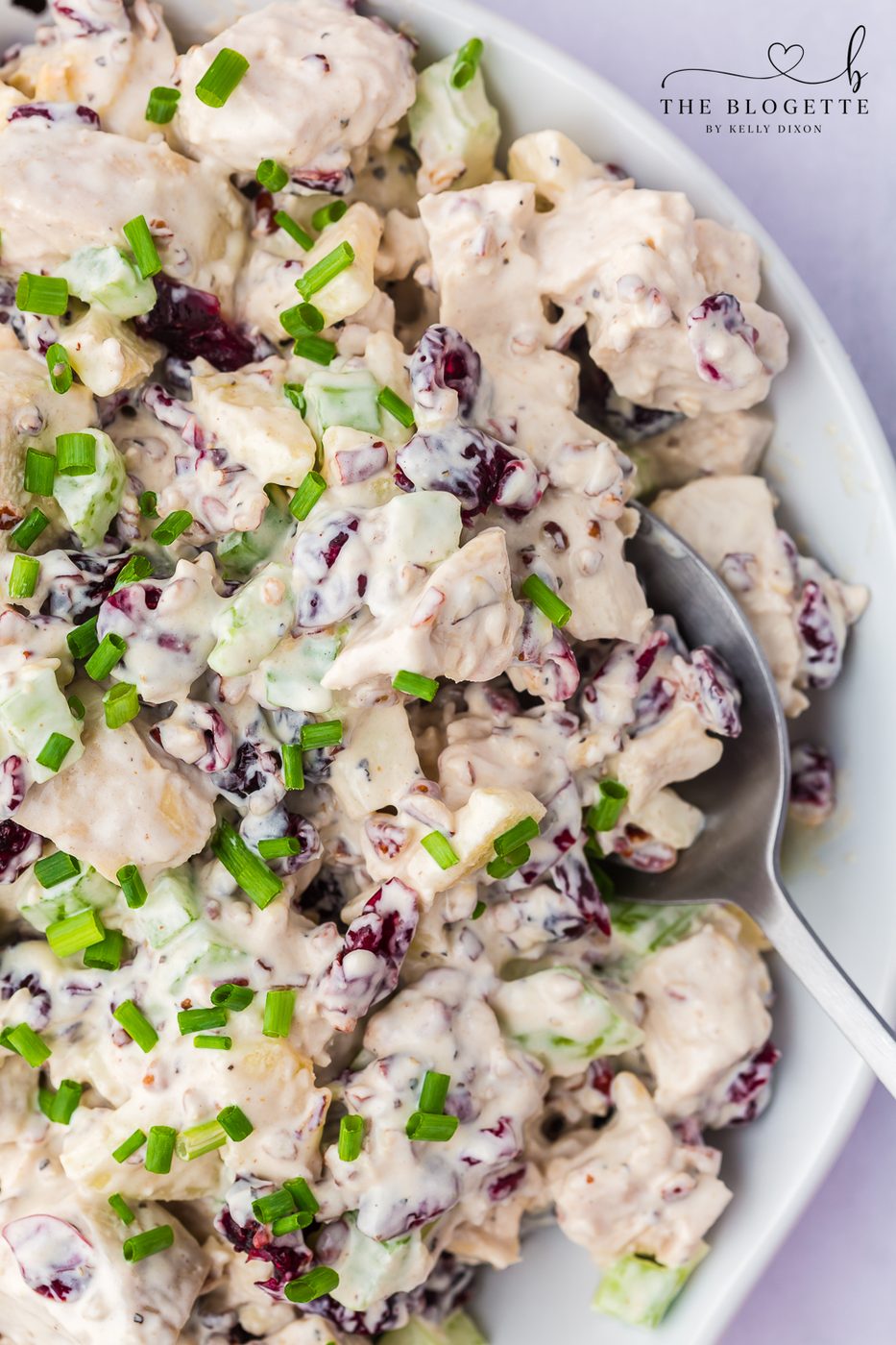 Cranberry Pecan Chicken Salad is creamy, crisp, and filling. Juicy chicken cranberry, pecan, and apple with a creamy dressing.