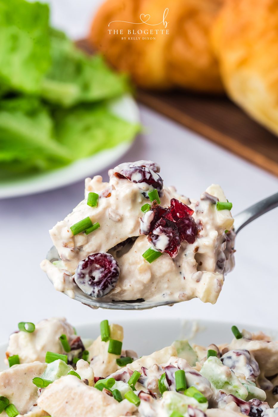 Cranberry Pecan Chicken Salad is creamy, crisp, and filling. Juicy chicken cranberry, pecan, and apple with a creamy dressing.