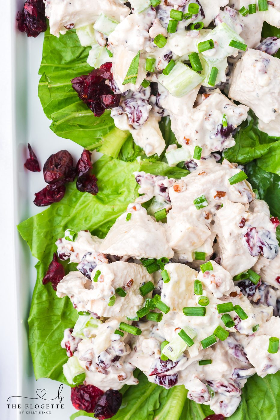 Cranberry Pecan Chicken Salad at home