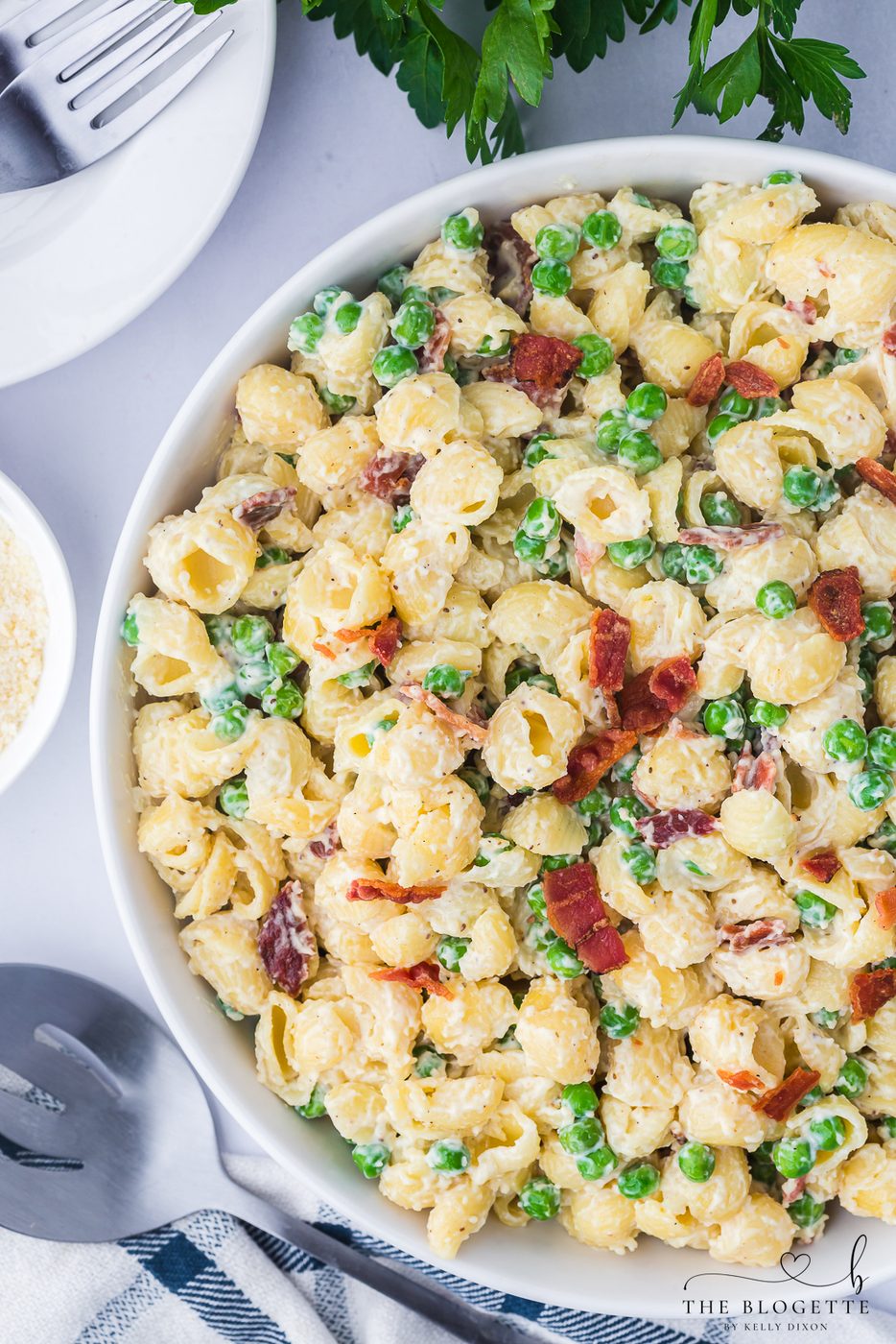 Creamy Pasta Salad Recipe