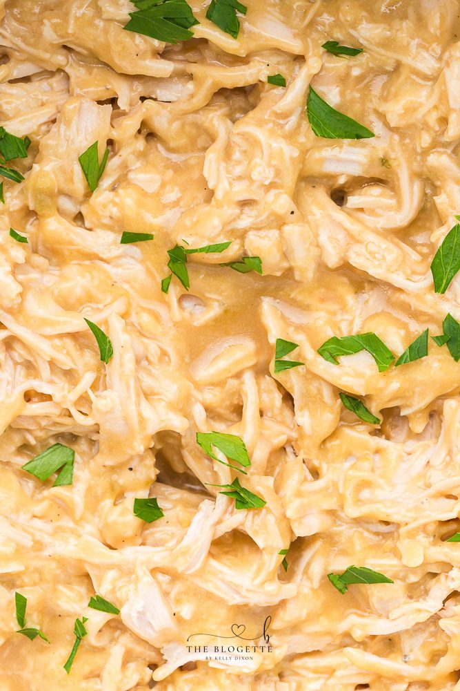 Shredded Slow-cooker Turkey Breasts in a satisfying gravy! This slow cooker turkey recipe is the easiest and tastiest way to cook a turkey breast. No need for a big turkey at Thanksgiving? Try this! A great dish to celebrate the holidays.