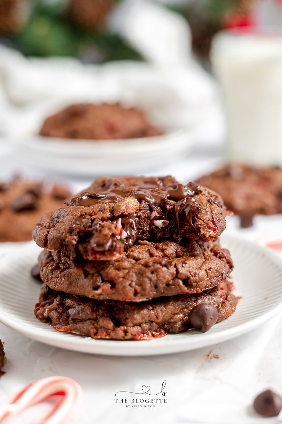 Dark Chocolate Peppermint Cookies - Candy canes in rich chocolate make this a special Christmas cookie. Just like the bakery Bakery recipe! Every bite gives you that warming, holiday feeling!