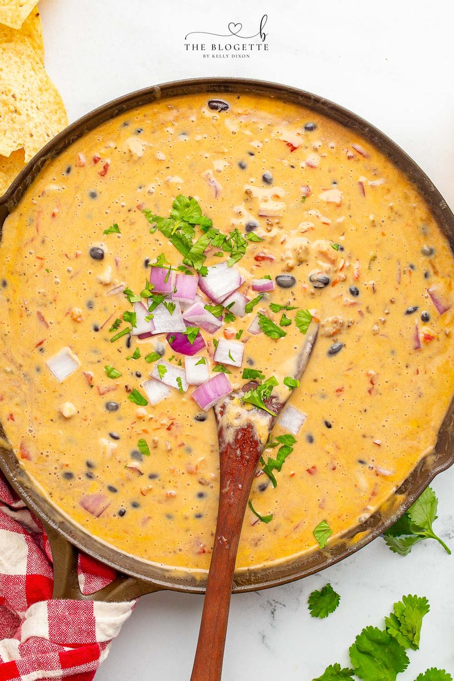 Loaded Queso Dip is full of flavor, packed with beef, beans, cheese, and even beer! Well-balanced appetizer with chips at parties or on game day!