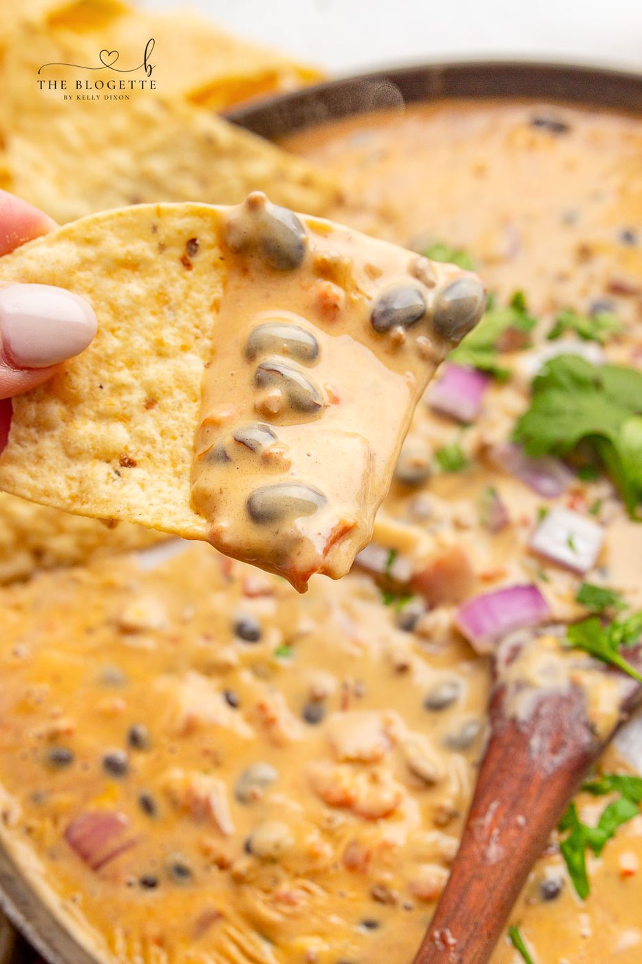 Loaded Queso Dip at home
