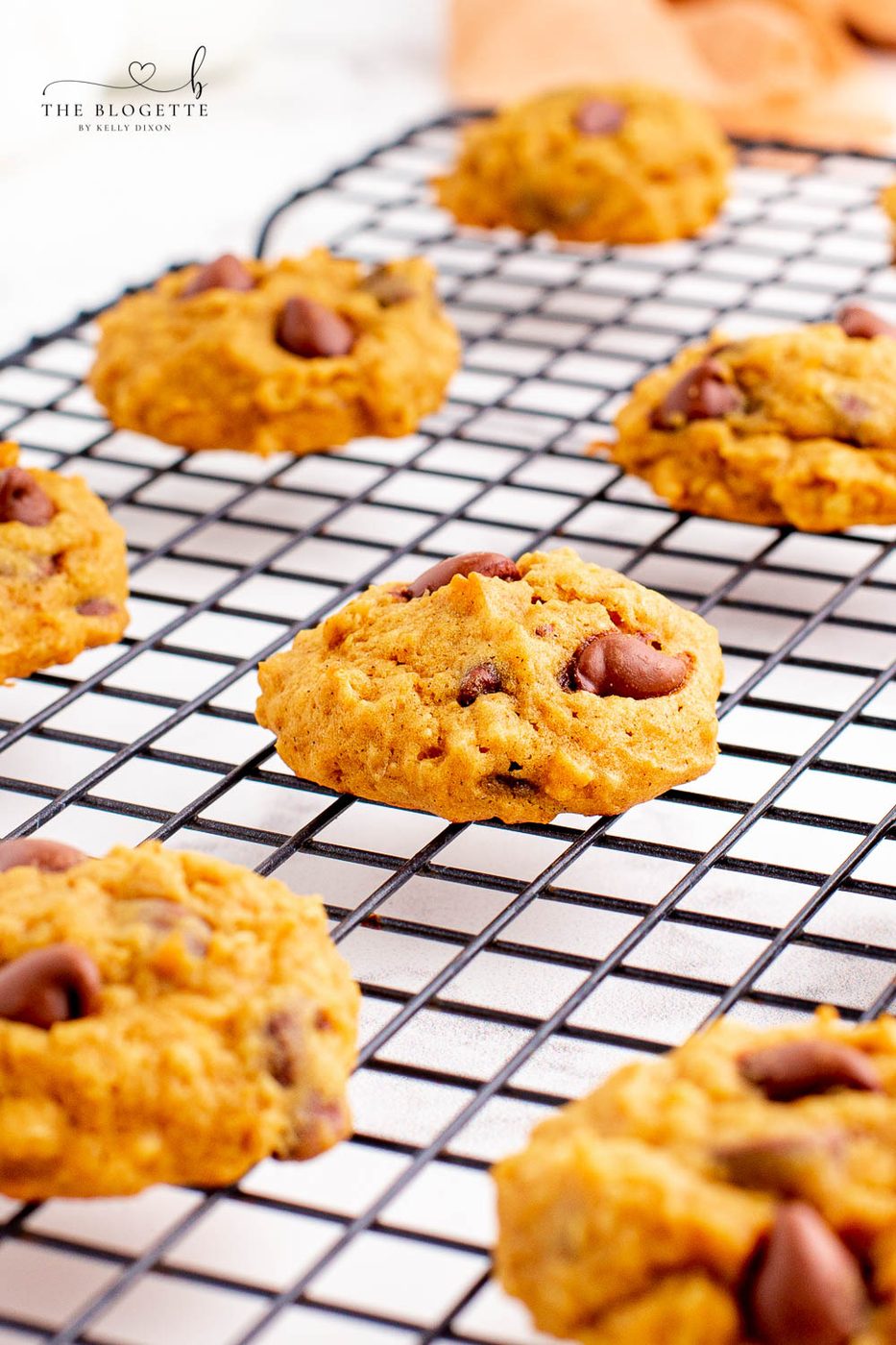 Pumpkin Chocolate Chip Cookies are soft and chewy with just the well-balanced amount of pumpkin flavor and chocolate chips! Pumpkin cookies are so satisfying and wonderful to make for holidays like Thanksgiving and Christmas!