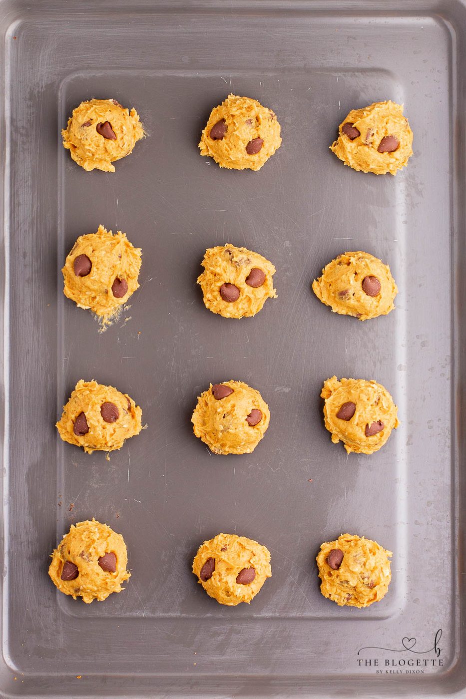Pumpkin Chocolate Chip Cookies