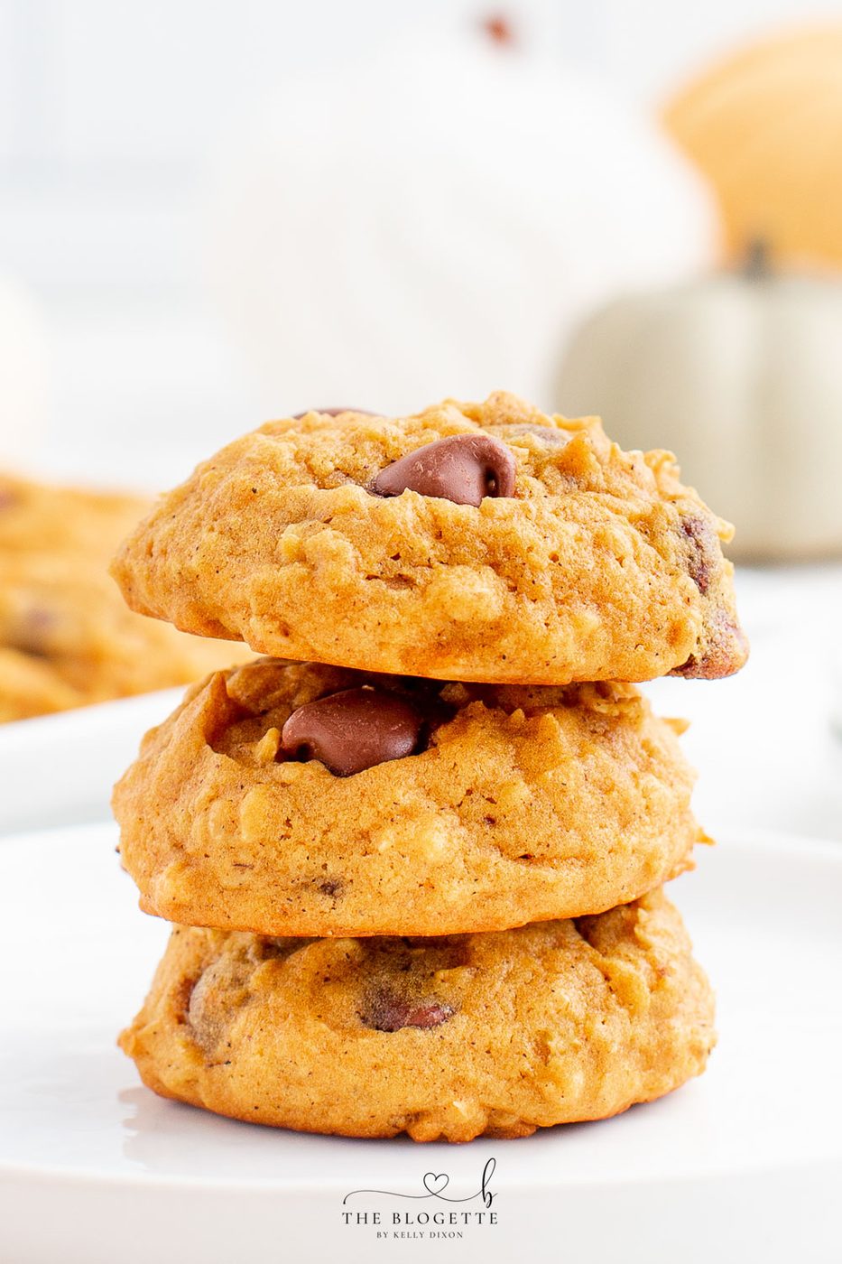 Home-style Pumpkin Chocolate Chip Cookies