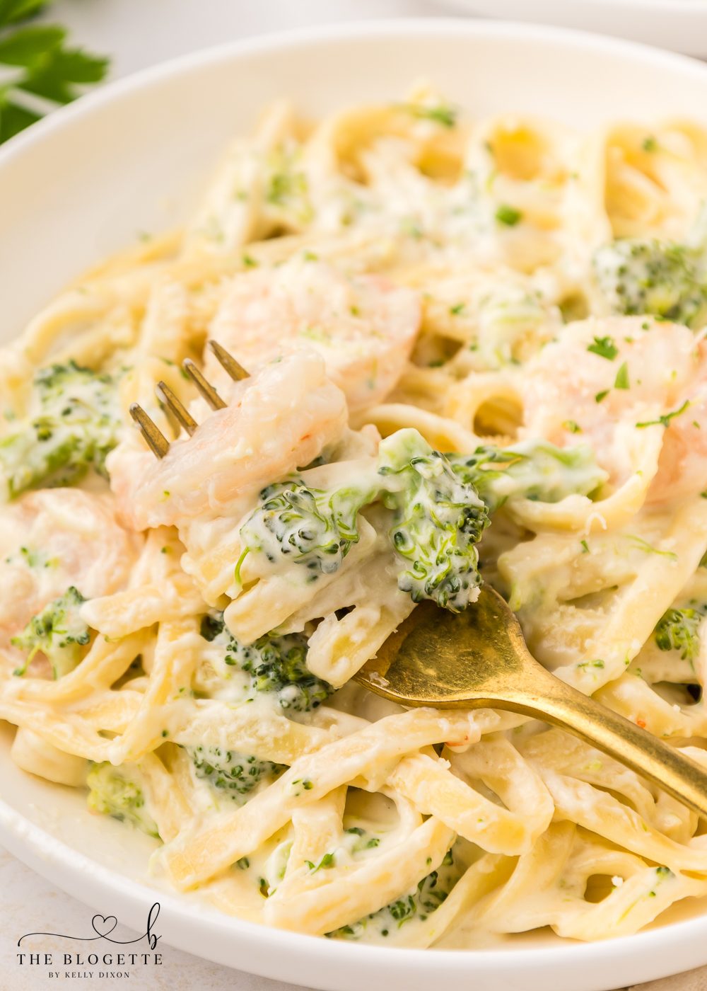 Shrimp Alfredo - done in less than 30 minutes!