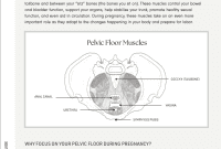 Unlock Your Pelvic Floor Potential Dr. Laura’s Way