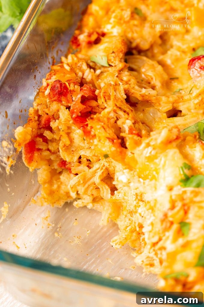 Zesty Chicken Fajita Bake 8 A vibrant platter of cheesy chicken fajita casserole garnished with fresh cilantro, alongside various serving suggestions like tortillas, salsa, and sour cream.