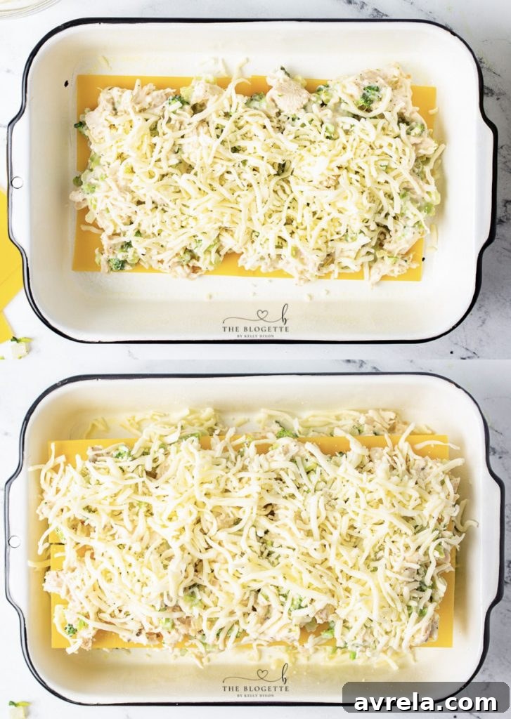 Creamy Chicken Broccoli Lasagna 7 layering lasagna
