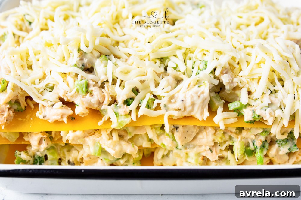 Creamy Chicken Broccoli Lasagna 8 layered chicken lasagna