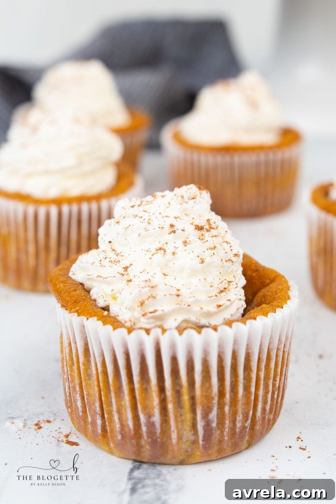 Beautifully decorated Pumpkin Pie Cupcakes, ready to be served as a delightful fall or holiday dessert.