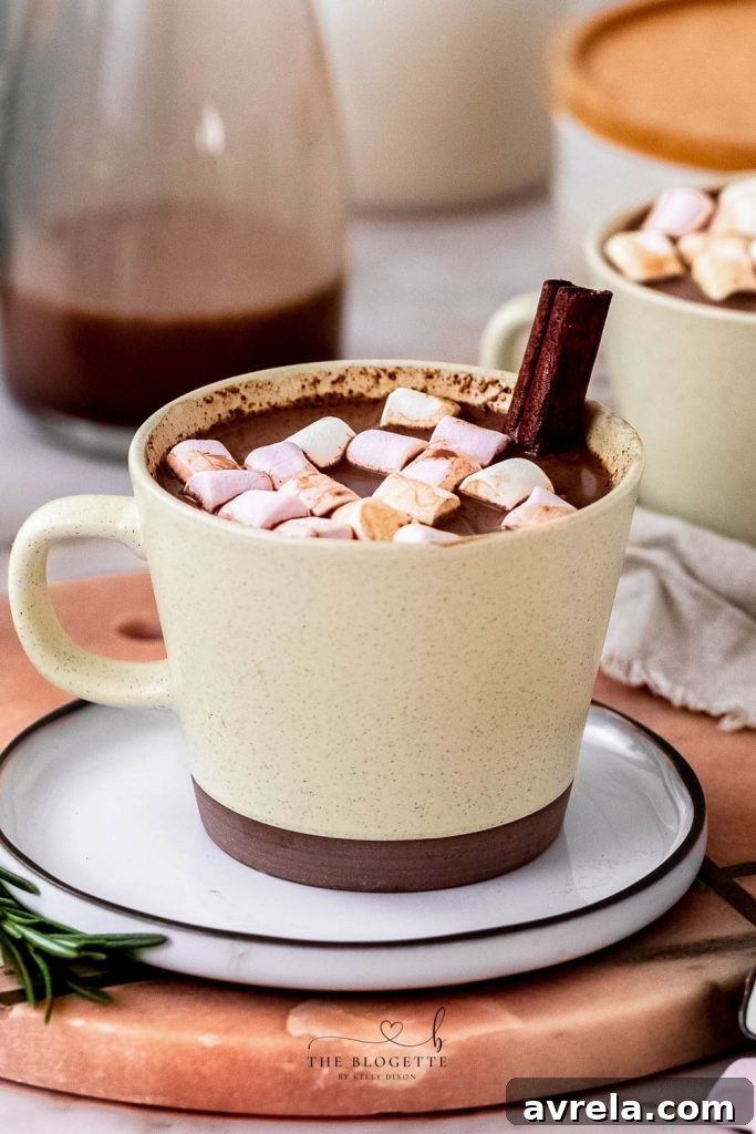 Gingerbread Hot Chocolate is Christmas in a cup! It's like drinking a chocolate gingerbread cookie!