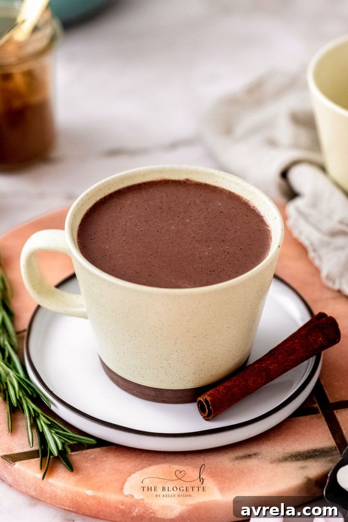 Gingerbread Hot Chocolate is Christmas in a cup! It's like drinking a chocolate gingerbread cookie!