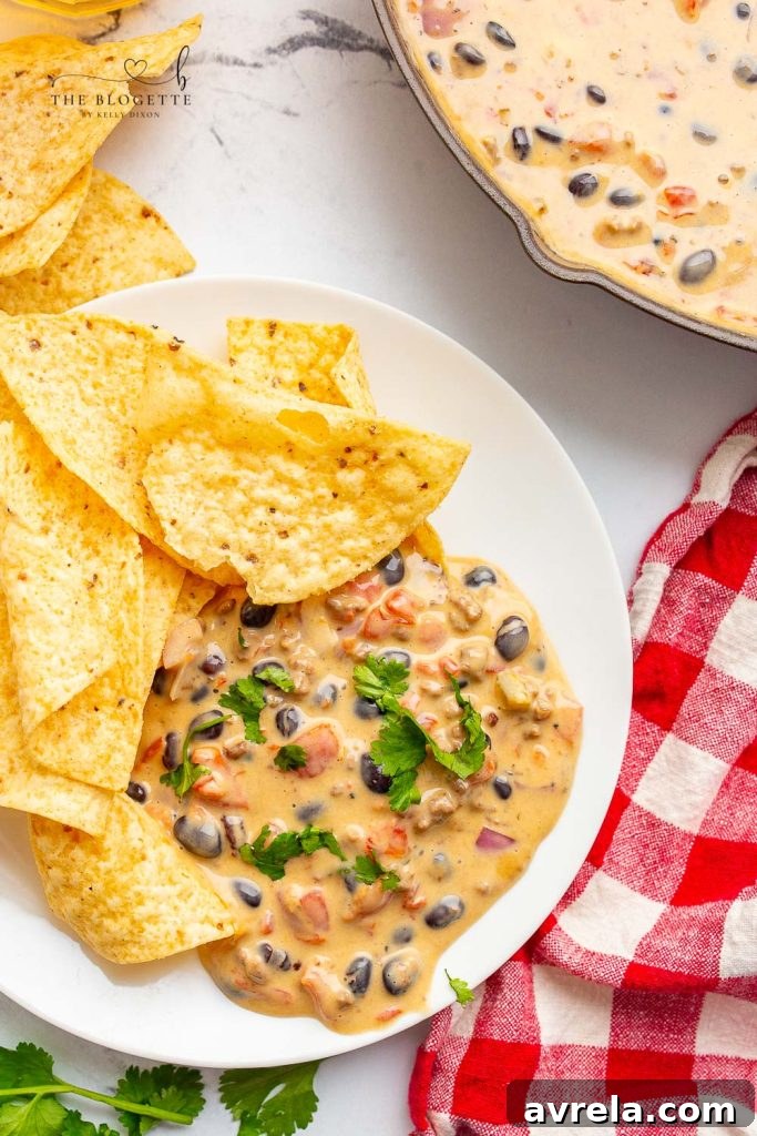 The Loaded Queso Dip, garnished with fresh cilantro and ready for dipping.
