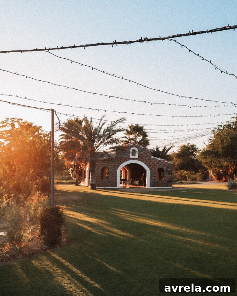 Lush, green landscape of Flora Farms, showcasing its organic beauty and vibrant gardens.