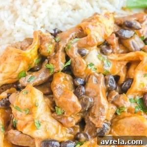 This 15-minute Burrito Skillet has sirloin steak, black beans, a creamy sauce, and tortillas all cooked in one skillet.