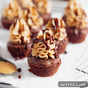 The ultimate Buckeye Brownies recipe: chocolate brownies with peanut butter icing and chocolate drizzle