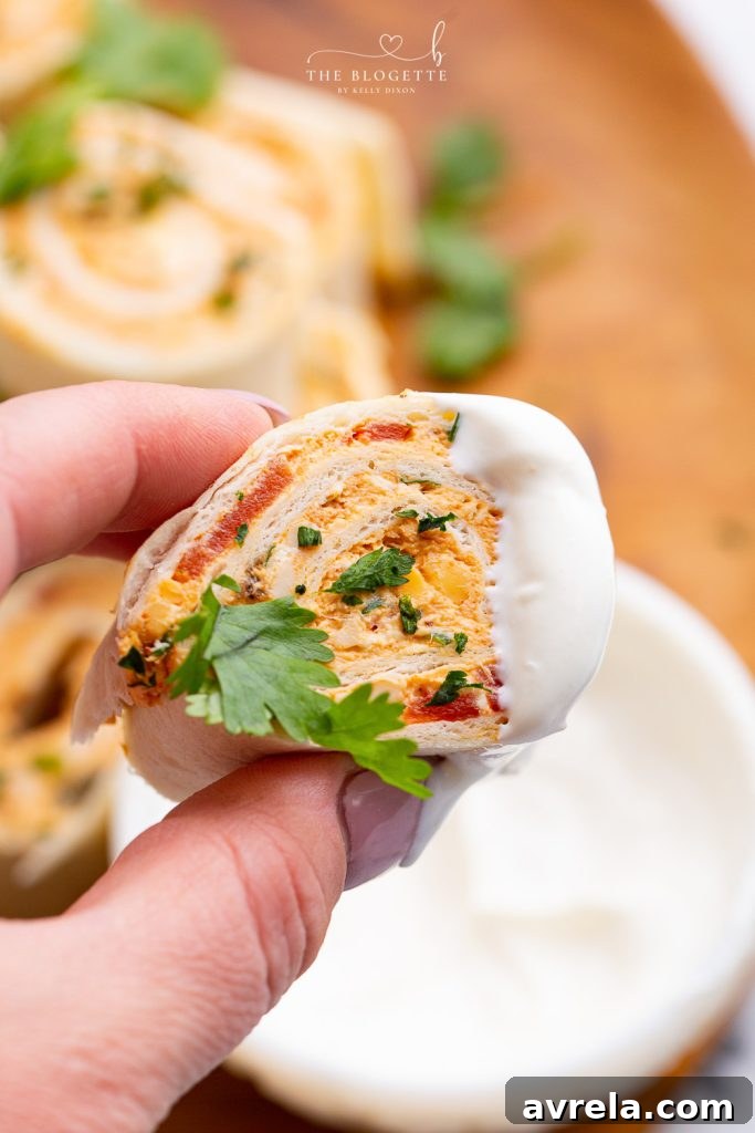 Close-up view of a beautifully arranged plate of Chicken Enchilada Roll Ups, highlighting their vibrant colors and perfect spiral shape.