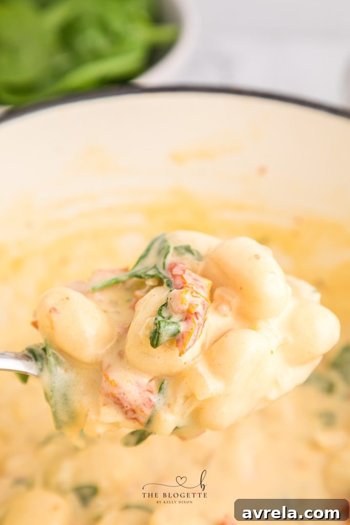 Creamy Tuscan Gnocchi - Soft gnocchi cooked in a cream sauce with sun-dried tomatoes, spinach, and garlic. Done in just 20 minutes!