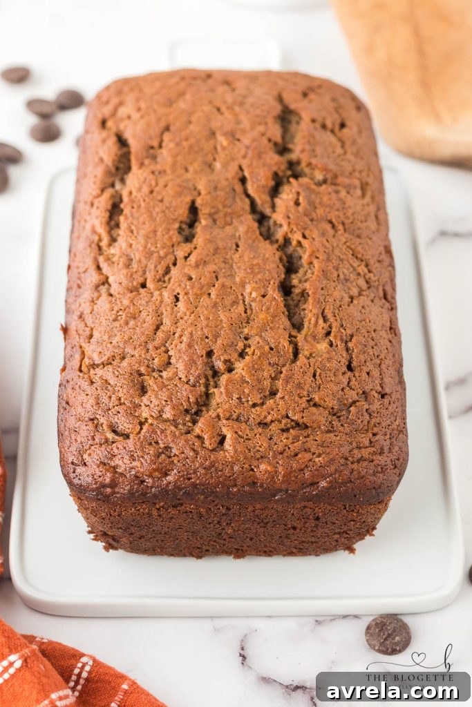 Moist Chocolate Chip Banana Loaf 10 Close-up of a slice of moist Chocolate Banana Bread, showing its rich texture.
