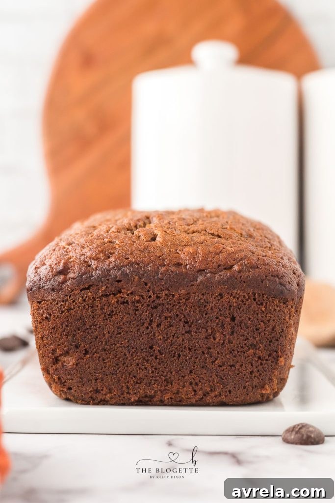 Moist Chocolate Chip Banana Loaf 11 A perfectly sliced chocolate bread loaf, showcasing its rich brown color and texture.