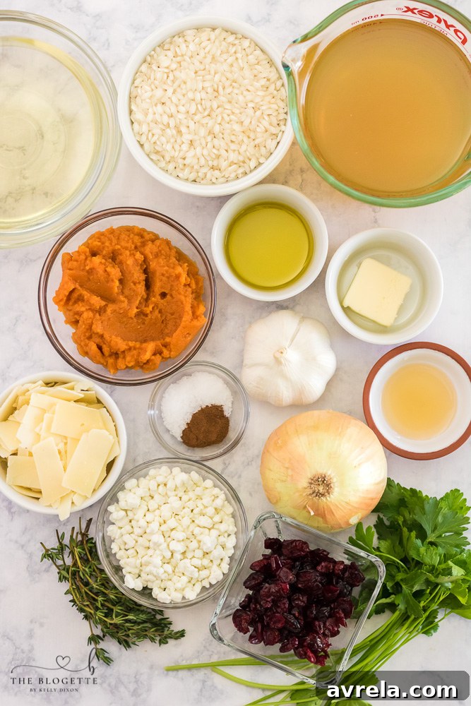 Velvet Pumpkin Risotto 3 Fresh ingredients laid out for making Pumpkin Risotto, including pumpkin puree, Arborio rice, herbs, and cheese.