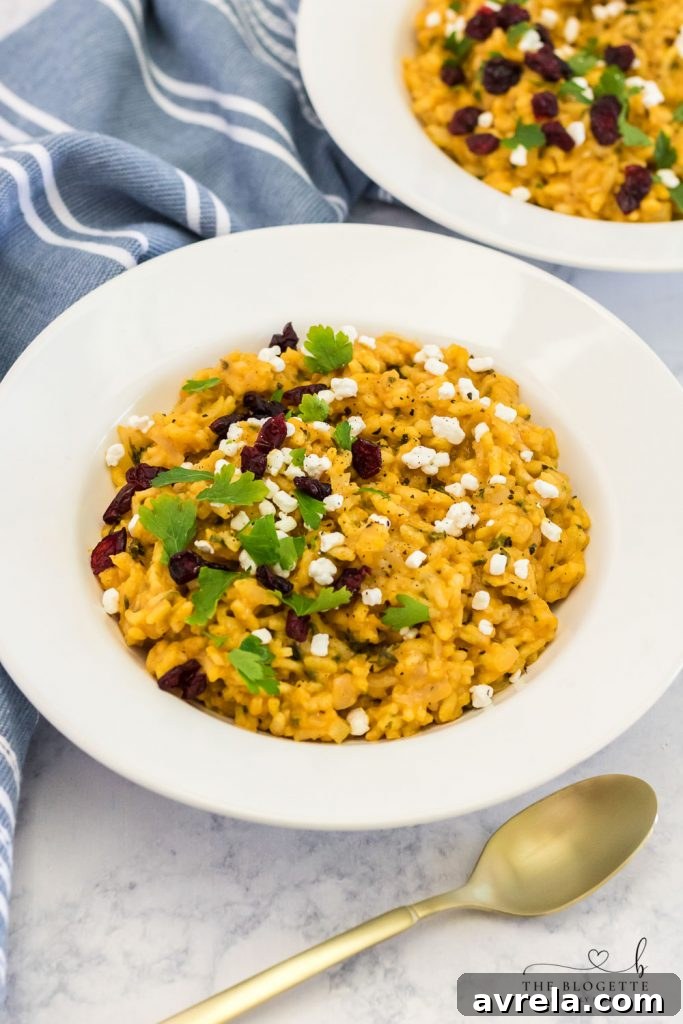 Velvet Pumpkin Risotto 8 A bowl of finished Pumpkin Risotto, beautifully garnished with goat cheese, cranberries, and fresh parsley, ready to be enjoyed.
