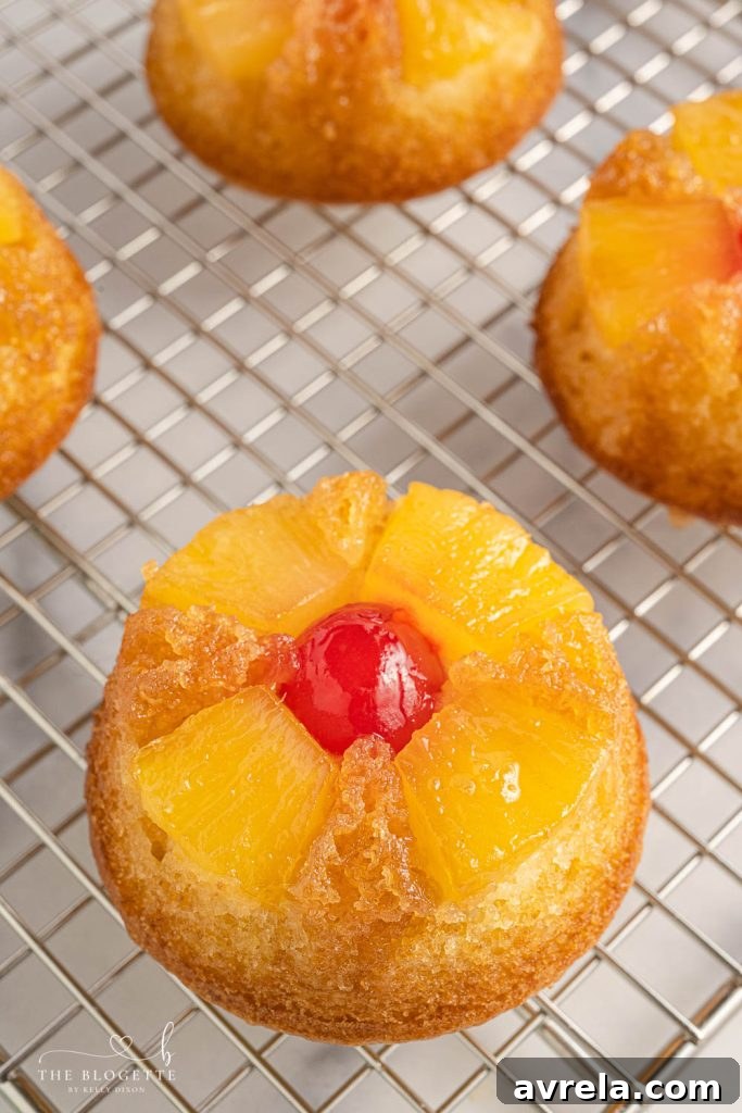Easy Pineapple Upside Down Cupcakes Recipe! Soft, buttery sweet cupcakes with a moist top, tender pineapple pieces, and cherry on top.