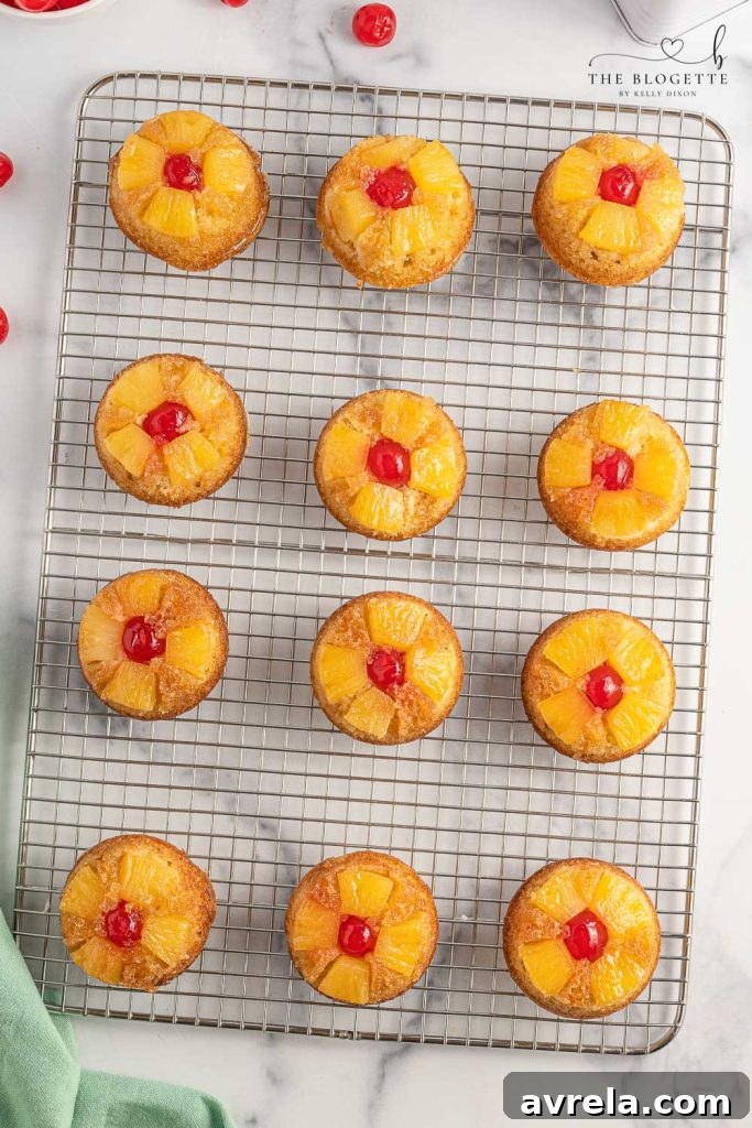 Easy Pineapple Upside Down Cupcakes Recipe! Soft, buttery sweet cupcakes with a moist top, tender pineapple pieces, and cherry on top.