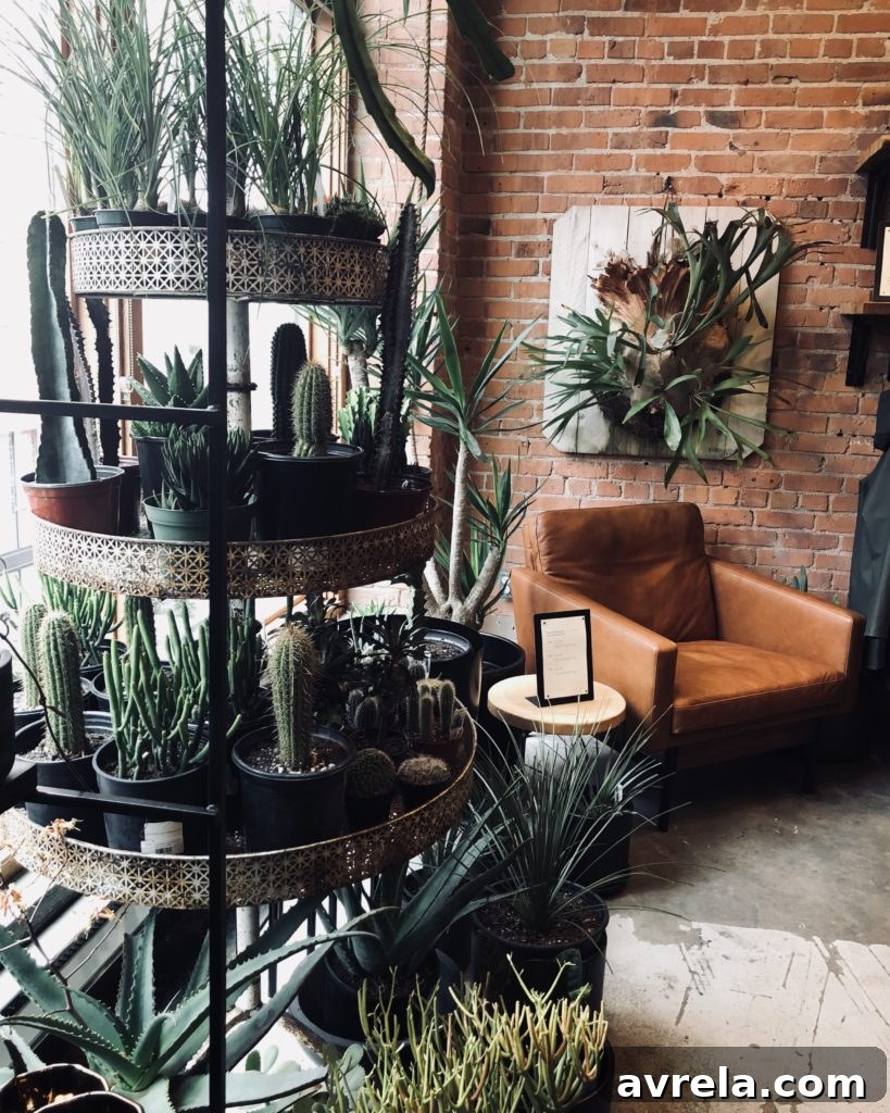 Inside Glasswing shop, showcasing plants, ceramics, and clothing