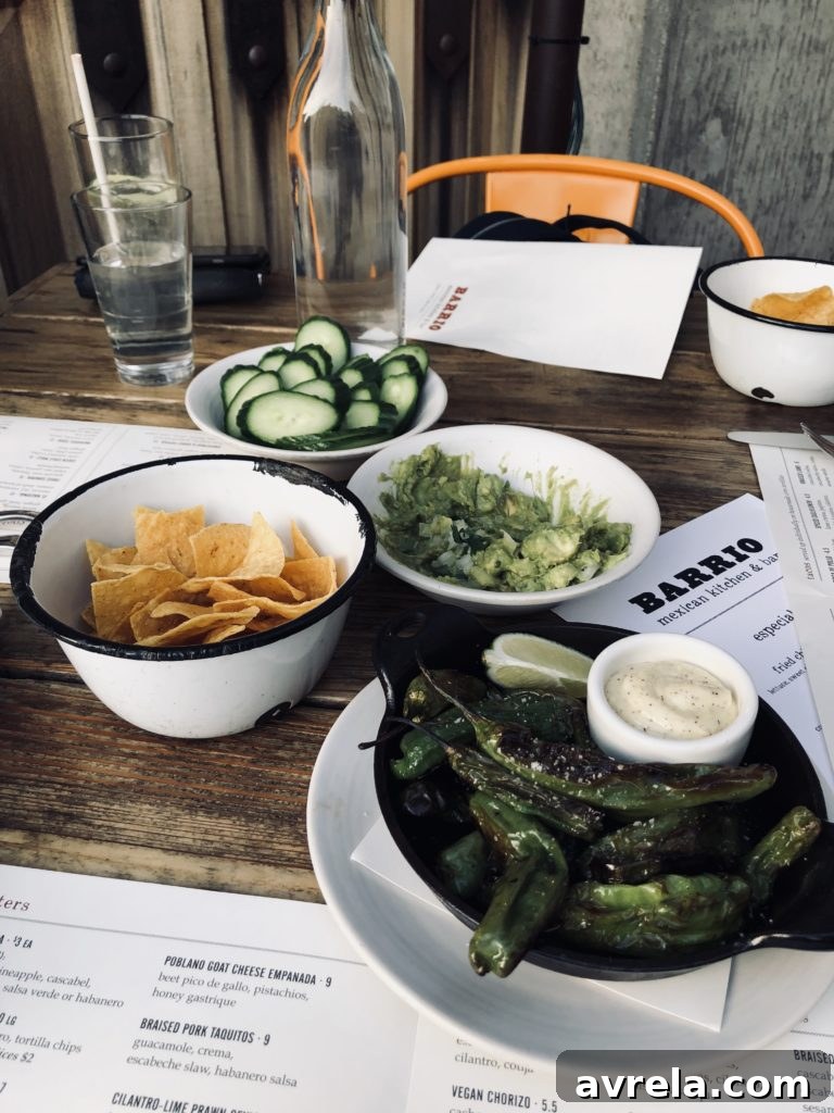 Tortilla chips, cucumber chips, guacamole, and shishito peppers at Barrio