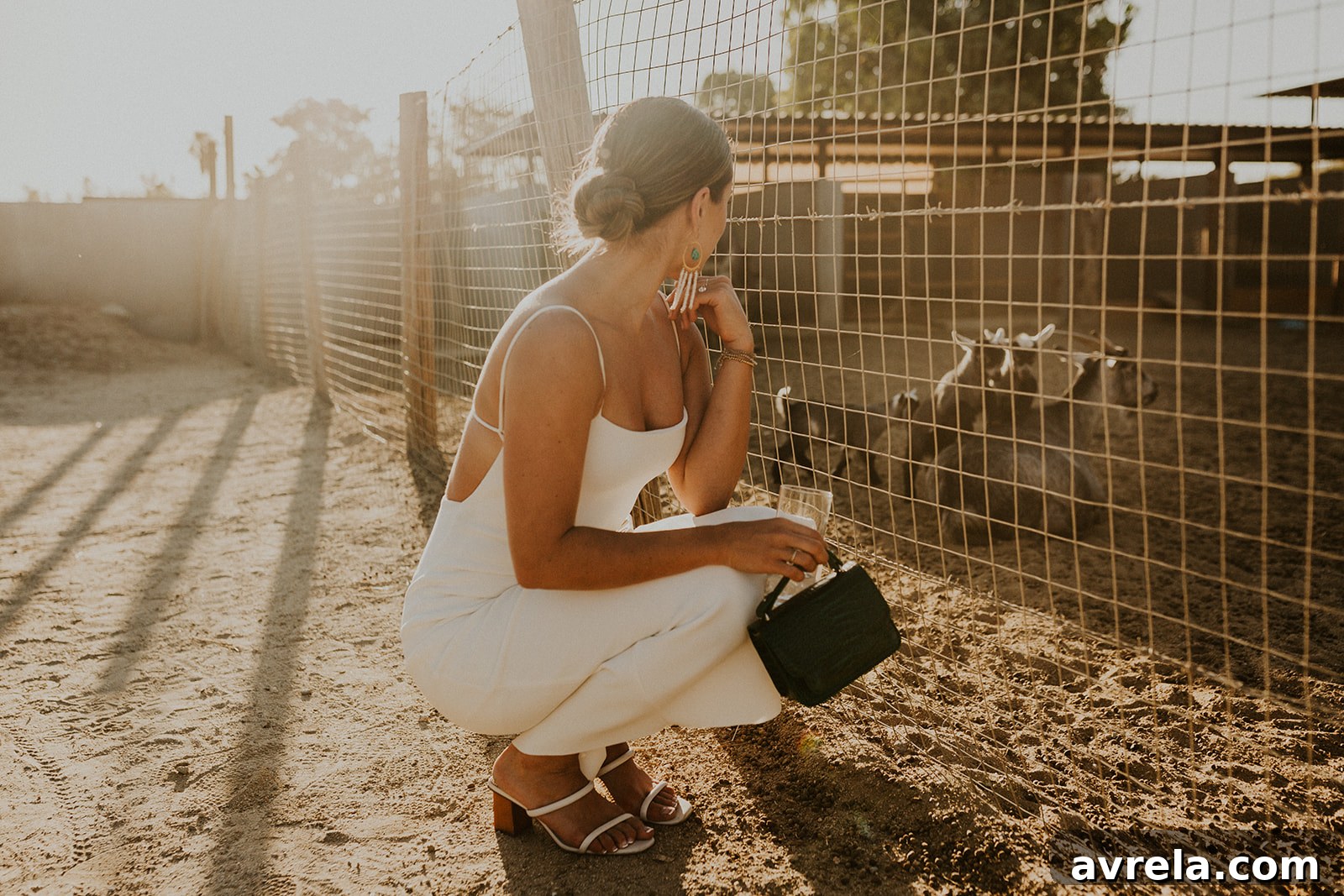 Guests admiring the farm animals and lush surroundings at Acre Baja