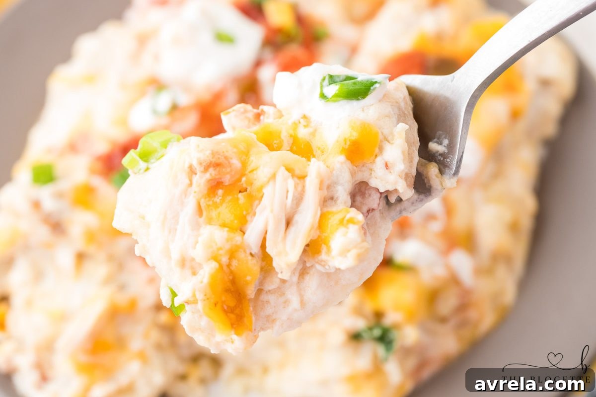 A full baking dish of creamy white chicken enchiladas, garnished with fresh cilantro, ready to be served.