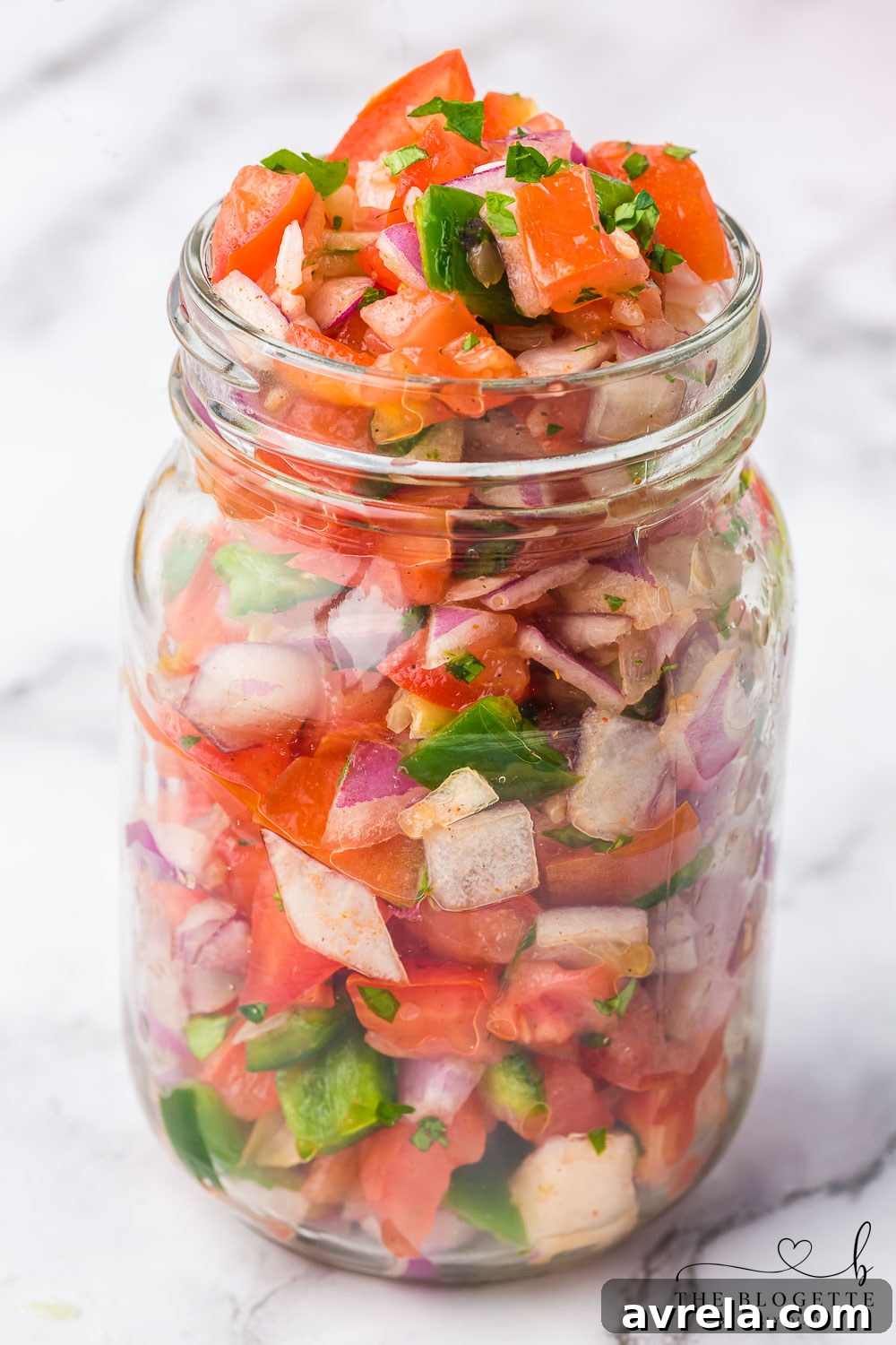 A beautifully presented bowl of homemade Pico de Gallo, garnished with lime and cilantro, ready to be served.
