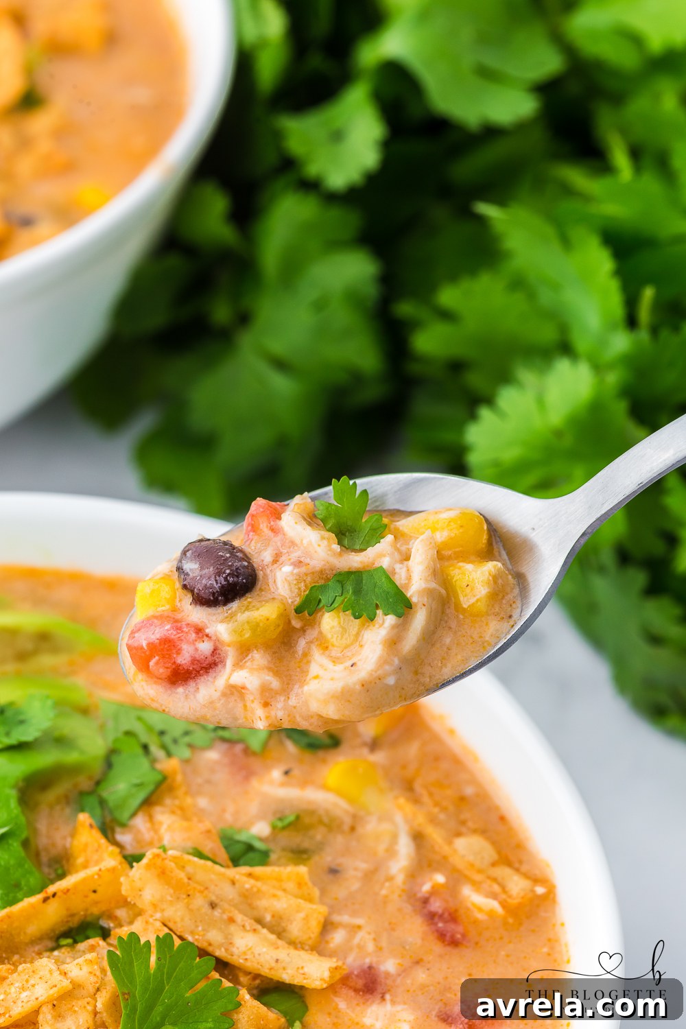 Rich and hearty Chicken Enchilada Soup with a swirl of cream and fresh herbs.