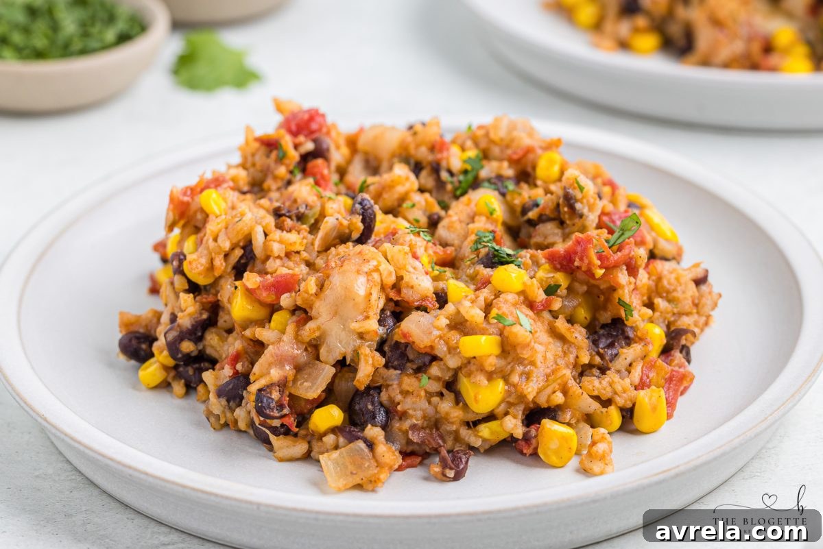 A large serving of One-Pan Tex Mex Chicken and Rice with a spoon, highlighting its inviting texture.