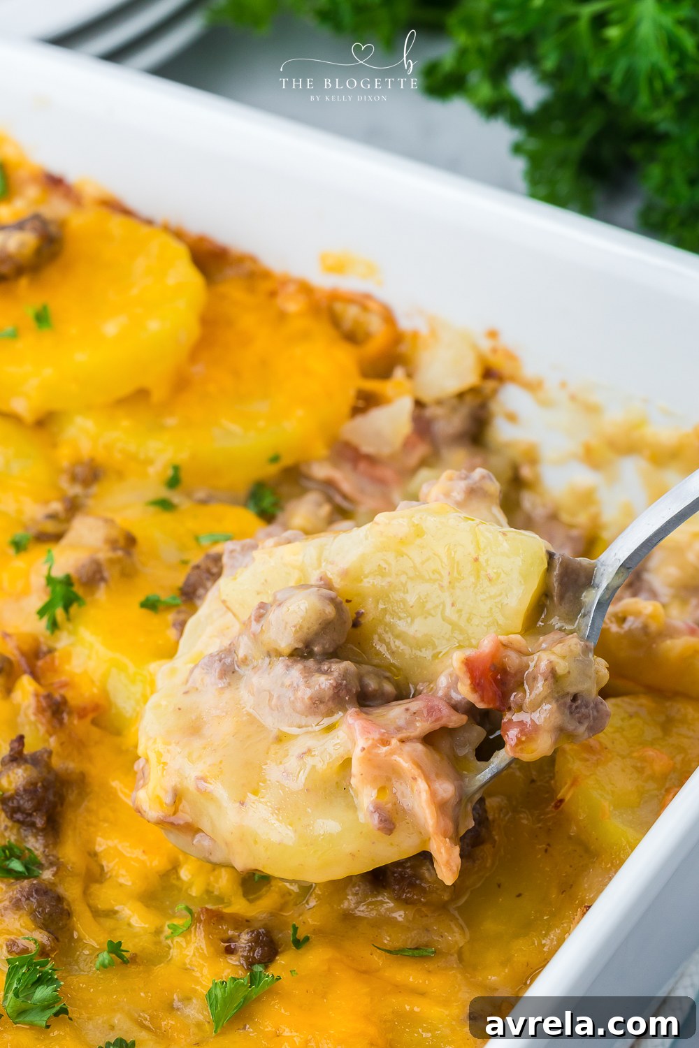 Hearty Beef and Potato Bake 10 A freshly baked Hamburger and Potato Casserole, bubbling with cheese and ready to be served from the dish.
