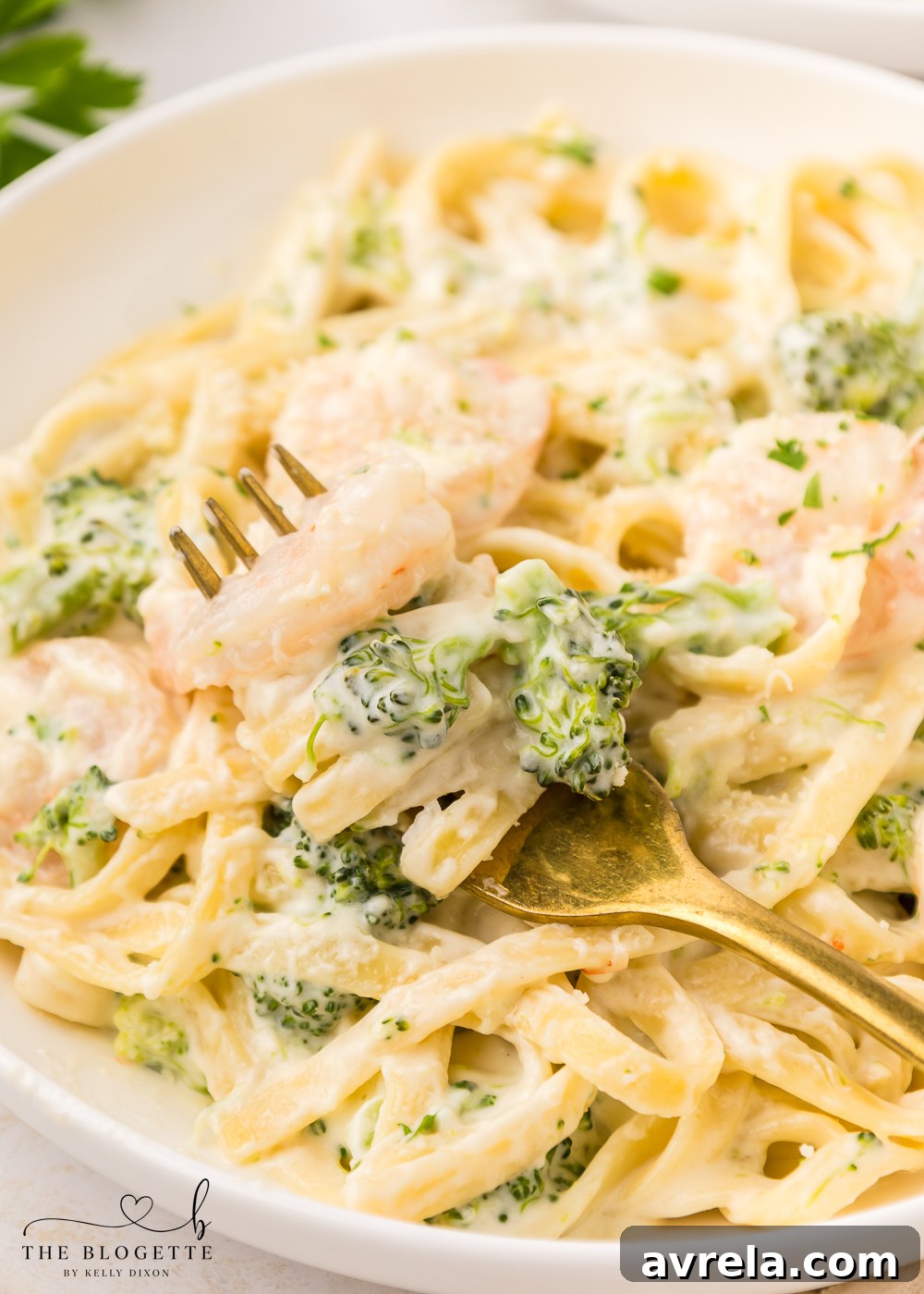 Creamy Shrimp Alfredo 3 Shrimp Alfredo - done in less than 30 minutes!
