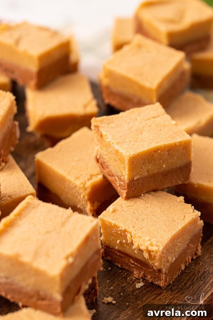 Classic Chocolate Peanut Butter Fudge, a delightful treat for any occasion