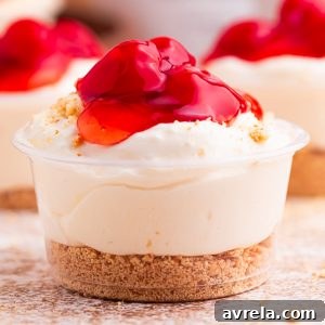 Cherry Cheesecake Shots, a perfect no-bake party dessert. Made with cheesecake pudding, Cool Whip, RumChata, graham crackers, and cherry pie filling. Easy dessert shooters for holidays, girls’ night, brunch, and celebrations. Try this simple make-ahead dessert idea!