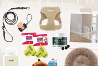 Essential Supplies Every Dog Owner Needs