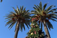 Ultimate Santa Barbara Travel Guide: Top Attractions, Beaches & Tips