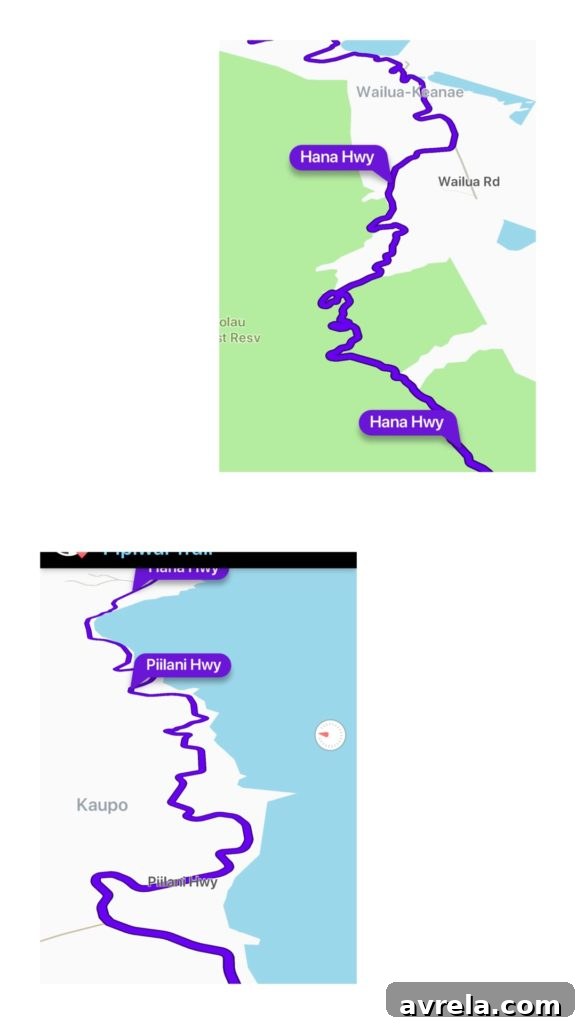 9 Things to Know Before Driving the Road to Hana 2 img 17639 1